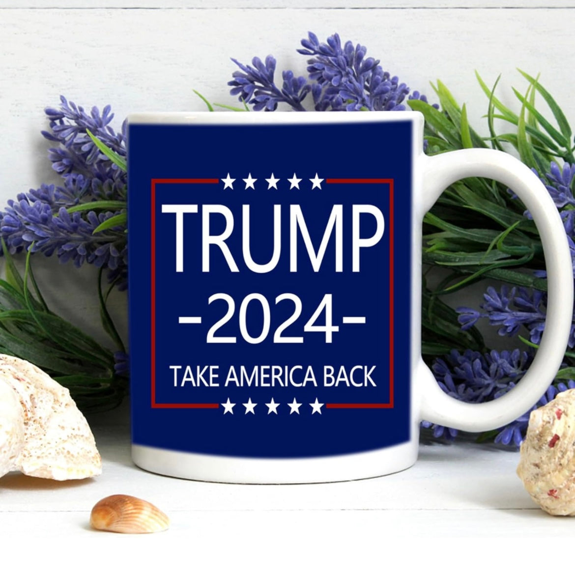 Take America Back Mug