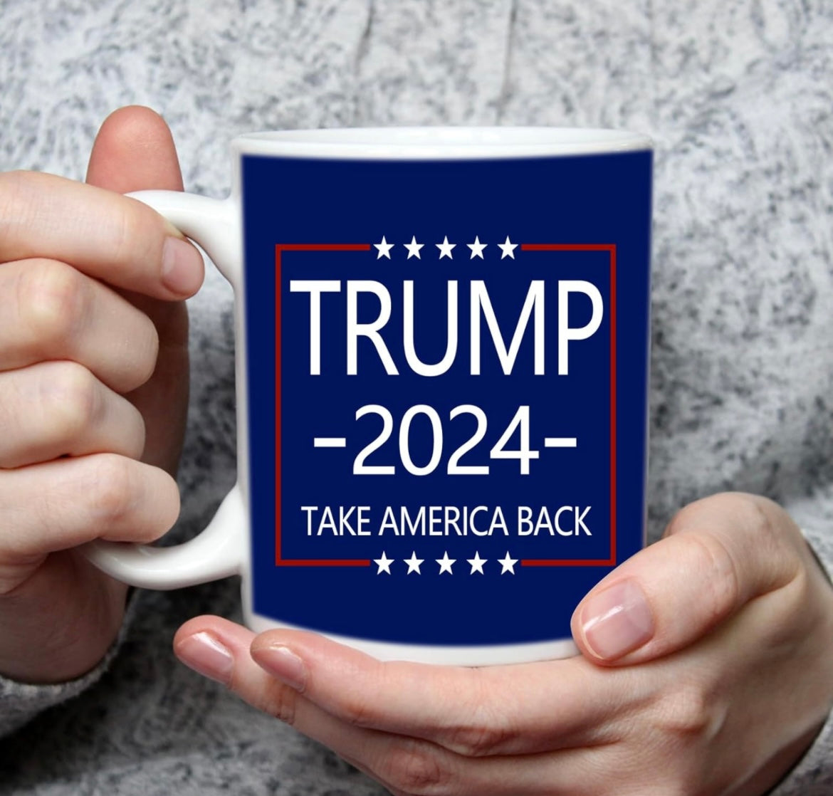 Take America Back Mug