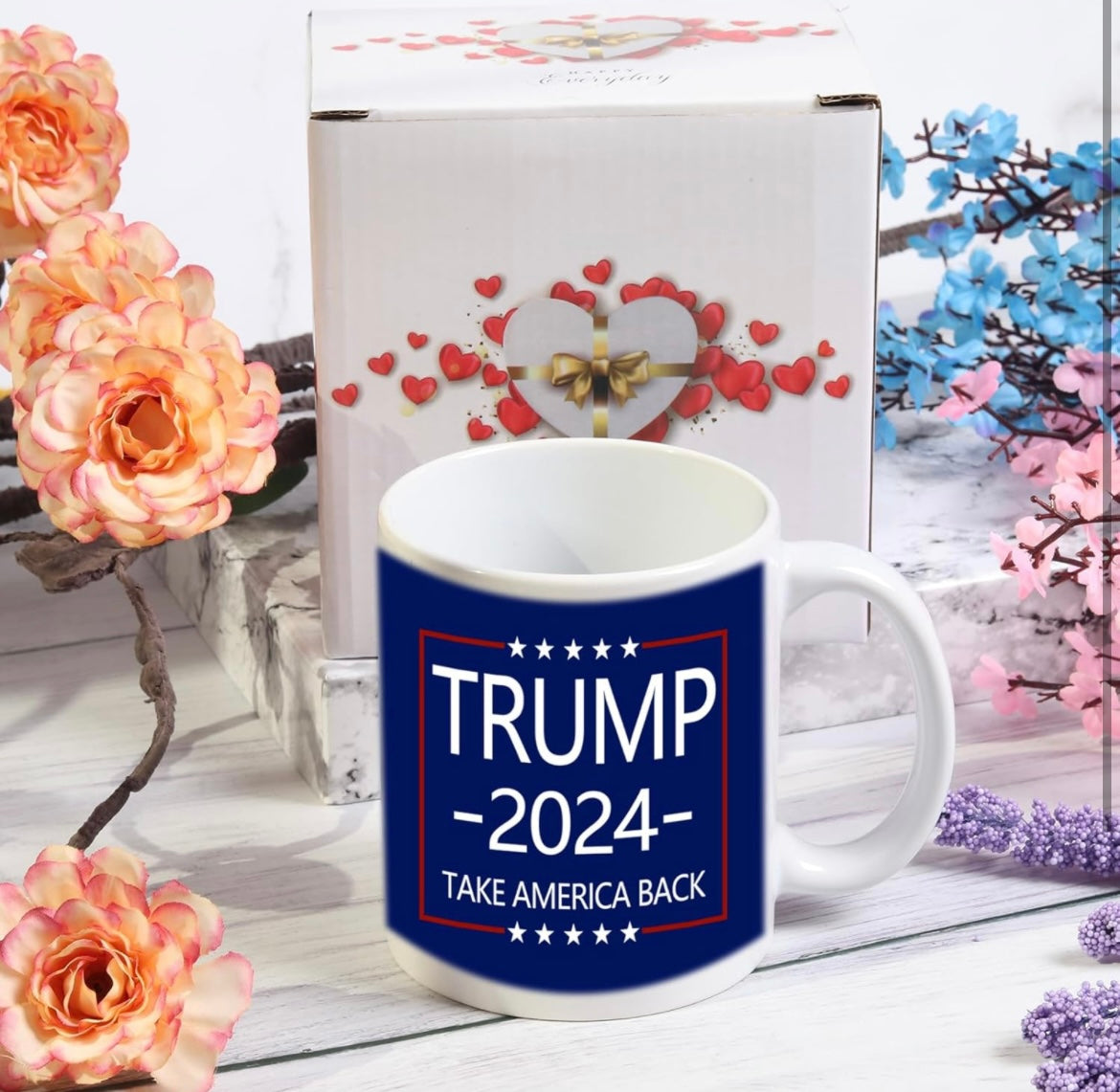 Take America Back Mug